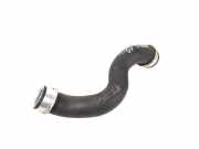 Wasserkühlerschlauch rechts