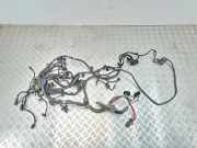 Motor Kabelbaum BMW 7 (F01, F02) 750 i