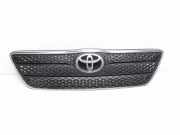 Vorderer oberer Gitter TOYOTA COROLLA (_E12_) 1.6 VVT-i (ZZE121_) 5310002010