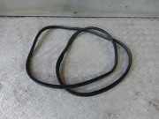 Türgummi links vorne Suzuki SX S-Cross (JY)