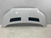 Motorhaube FORD TRANSIT 2.0 TDCi TKK31-A16612-AA