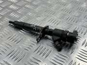 Einspritzdüse VOLVO V70 III (BW) D5 AWD 0445110248