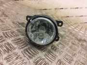 Nebelscheinwerfer rechts vorne Ford EcoSport () 89209184