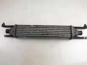 Ladeluftkühler FIAT GRANDE PUNTO (199_) 1.3 D Multijet 866450200