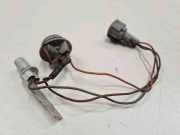 Xenon-Lampe NISSAN PRIMERA Hatchback (P12) 2.2 Di