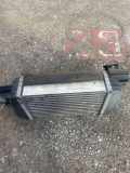 Ladeluftkühler NISSAN JUKE (F15) 1.6 DIG-T 4x4 PA66GF30
