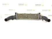 Ladeluftkühler MERCEDES-BENZ C (W202) C 220 CDI (202.133) 2025001000 2025001100