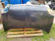 Motorhaube FIAT ULYSSE (179_) 2.0 JTD