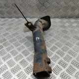 Stoßfängerbalkenträger MINI COOPER (R50, R53) Cooper 6757911