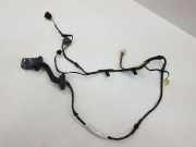 Türverkabelung hinten links CITROËN C-CROSSER (EP_) 2.2 HDi