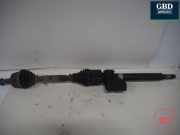 Kardanwelle Alfa Romeo Giulietta (940) 55213053