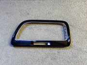 Frischluftgrill VW GOLF VIII (CD1) 2.0 TSI R 4motion 5G1819742