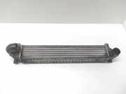 Ladeluftkühler FORD GALAXY III (CK) 2.0 TDCi
