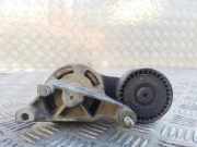 Riemenspanner VW PASSAT B7 ALLTRACK (365) 2.0 TDI 03C903315