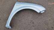 Kotflügel vorne rechts RENAULT GRAND SCÉNIC II (JM0/1_) 1.9 dCi (JM0G, JM12, JM1G, JM2C)