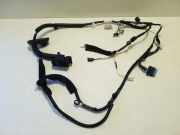 Kabel der vorderen linken Tür NISSAN QASHQAI III (J12) 1.3 DIG-T 807016UA1B