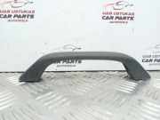 Griff Panoramadach Ford Transit Kasten (T)