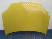 Motorhaube Renault Kangoo II Rapid (FW0)