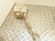 Fensterwaschtank RENAULT MEGANE II Estate (KM0/1_) 1.9 dCi 8200104705D