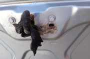Motorhaube Ford S-Max II (CJ, WA6)