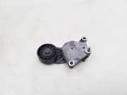 Gurtstraffer Citroen C3 (FC)