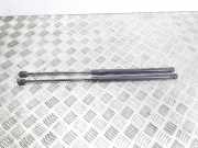 Heckklappendämpfer links Ford C-Max () 3M51R406A10AB