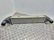 Ladeluftkühler Mercedes-Benz E-Klasse (W124)