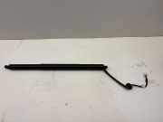 Heckklappe Gasdruckfeder links TESLA MODEL Y EV 150060100A