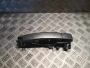 Türaußengriff vorne links LAND ROVER RANGE ROVER SPORT (L320) 3.6 D 4x4 CXA500030LEP AH2222404BC8LEP