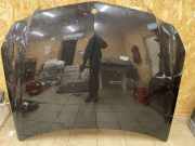 Motorhaube MERCEDES-BENZ E (W212) E 220 CDI / BlueTEC (212.001, 212.002) 212022100011010 0100100100010011