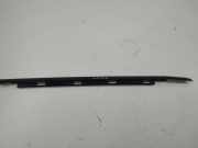 Türverkleidung links hinten BMW X5 (E53)