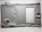 Dachverkleidung TOYOTA RAV 4 III (_A3_) 2.2 D 4WD (ALA30_)