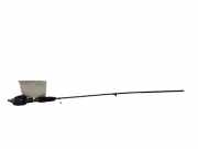 Antenne TOYOTA AVENSIS (_T22_) 2.0 D-4D (CDT220_)