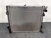 Kühlkörper NISSAN X-TRAIL (T32_) 1.6 dCi ALL MODE 4x4-i (NT32) 214104BE0A