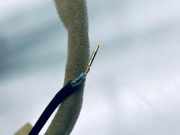 Antenne SUZUKI SX4 S-Cross (JY) 1.0 AllGrip 3995062M00000