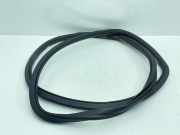 Türdichtung BMW 5er Touring (G31) 7337003