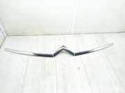 Front Bumper Center Moulding CITROËN C4 GRAND PICASSO I (UA_) 1.6 HDi 9654191780