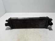 Ladeluftkühler RENAULT TRAFIC II Furgon (FL) 2.5 dCi 135 (JL0D) 8200219497