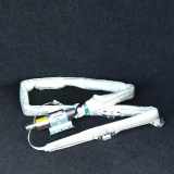 Dach SRS rechts FORD S-MAX (WA6) 2.0 TDCi 6M21-14K159-CG