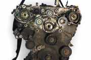 Motor ohne Anbauteile (Benzin) Opel Signum (Z-C/S) Y30DT