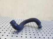 Schlauch Kühlung FORD MONDEO V Sedan 1.5 EcoBoost