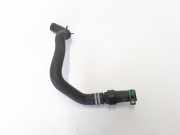 Kühlerschlauch Renault Clio IV (BH) 924006952R