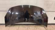 Motorhaube Citroen DS3 (SA)