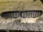 Kühlergrill komplett BMW 3er Touring (E91)