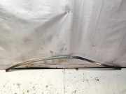 Dachleiste links MERCEDES-BENZ C (W203) C 220 CDI (203.006)