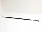 Vertikale Verkleidung an der vorderen linken Tür TOYOTA VERSO (_R2_) 2.2 D-4D (AUR21_)