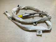 SRS Modul Dach links AUDI A3 Sportback (8PA) 2.0 FSI 8P4880741H BEEN10KS3TE