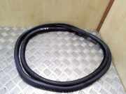 Türdichtung BMW 5er (F10)