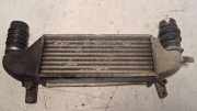 Ladeluftkühler FORD FOCUS Turnier (DNW) 1.8 TDCi 1M5Q9L440BA