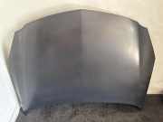 Motorhaube OPEL INSIGNIA A Sports Tourer (G09) 2.0 CDTI (35)